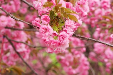 南通启东9线下个人借款平台一站式服务，轻松解决资金难题
