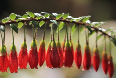 南通启东9零用贷短借：轻松解决临时资金需求