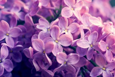 南通启东9企业急用钱贷款攻略：快速融资解燃眉之急